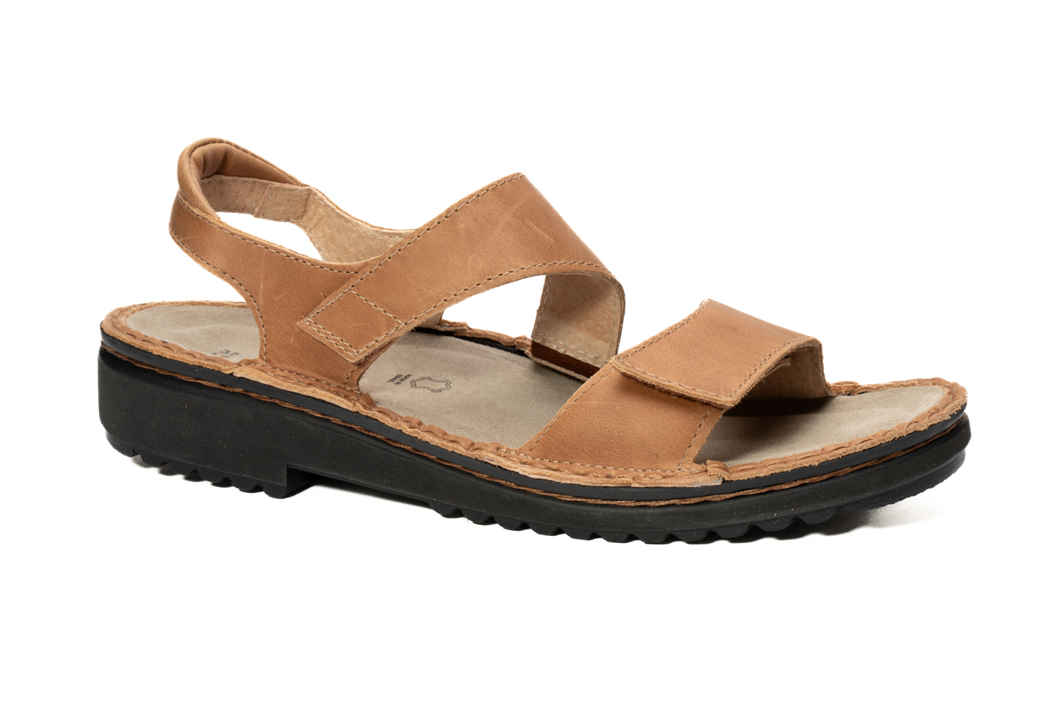 Enid - Brown