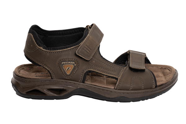 P9 - Brown