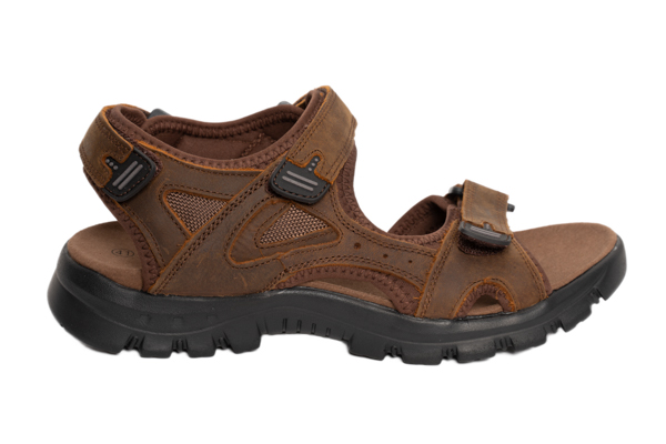 Bart 01 - Brown